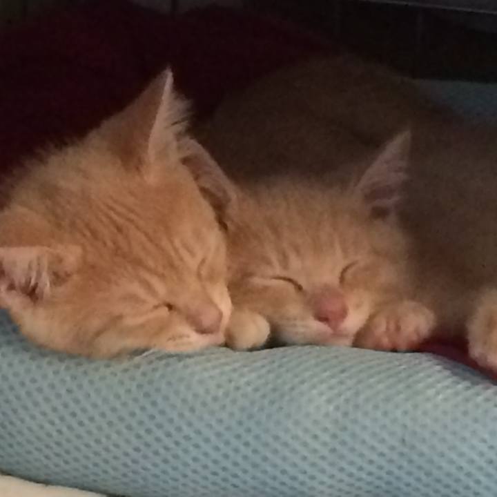 Bf036835 fa57 48ac a140 329723ca2d7b 1763193419987