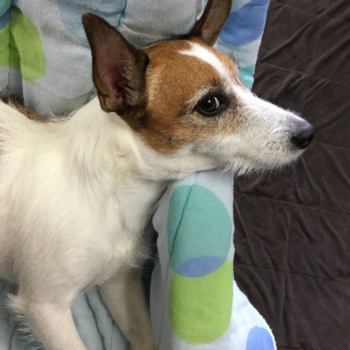 Bf03abc2 ac88 4039 830b e9faa7bf965a 1563062907903