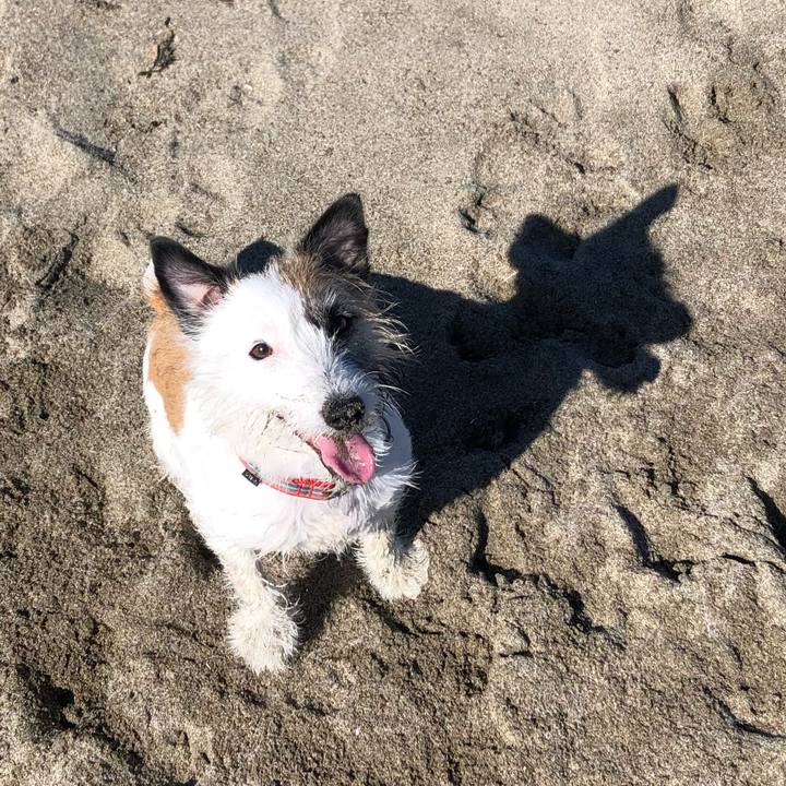 Bf03fb61 c216 41e3 90a0 37d69f2fc095 1592698113487