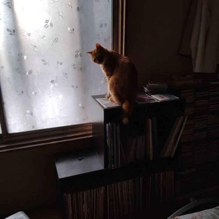 Bf0403b2 c3ad 4826 9b2b cf1a3364656a 1669069358252