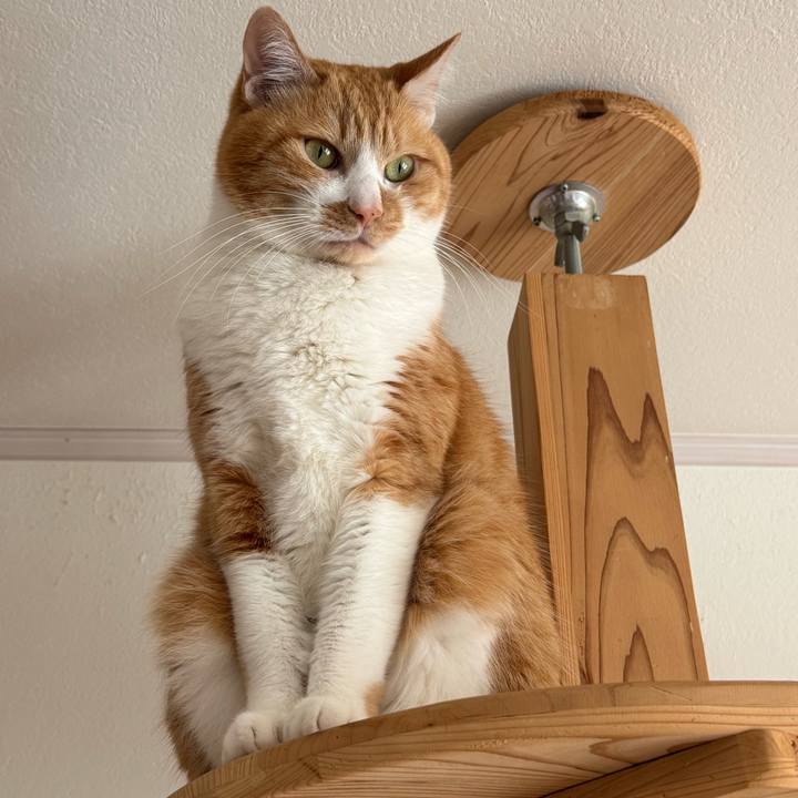 Bf040d13 b4d9 4bac af2d f8454d41aa62 1769050882976