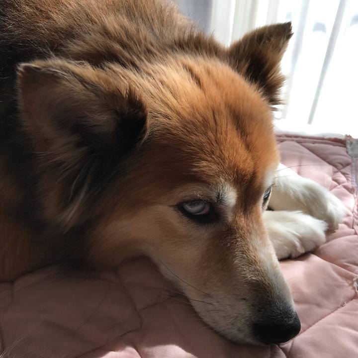 Bf043046 e8e5 49a3 8151 156e6818b386 1572921210709