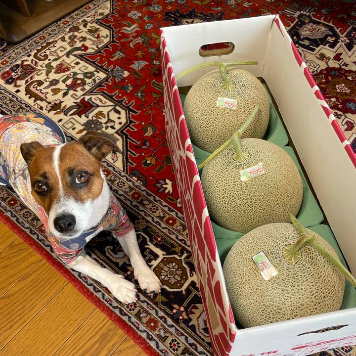 Bf0439b4 5582 4607 8993 a891771a2a86 1626833018568