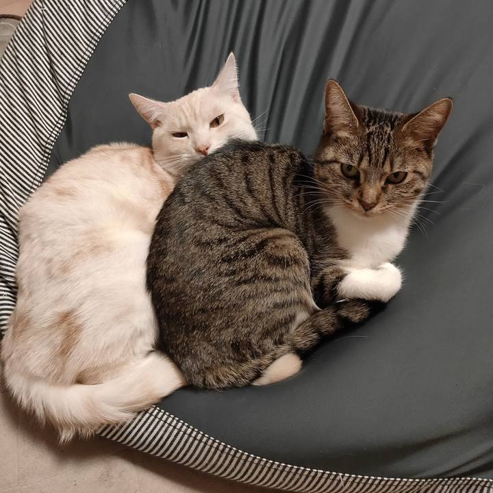 Bf044321 8b73 4324 89fe 3957e8b4c353 1674268250644