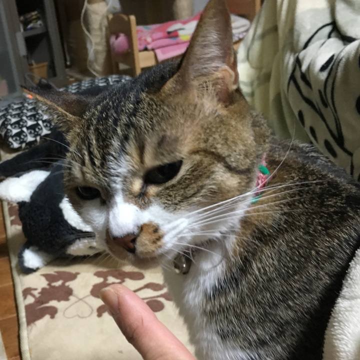 Bf044766 89bc 48bf b00d 6a7524be431f 1512734841457