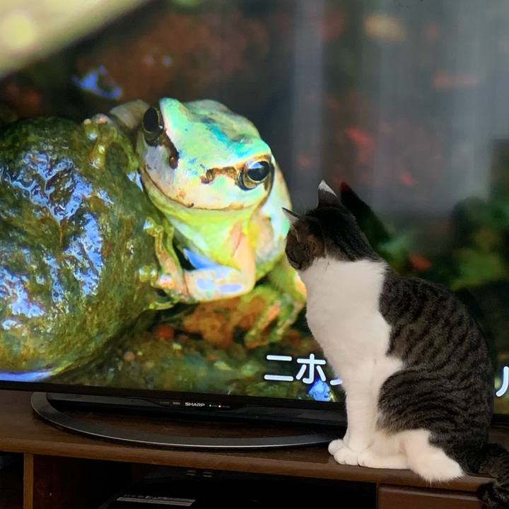 Bf044a2b c33b 4e7a 9891 1e3db923c785 1771109868732