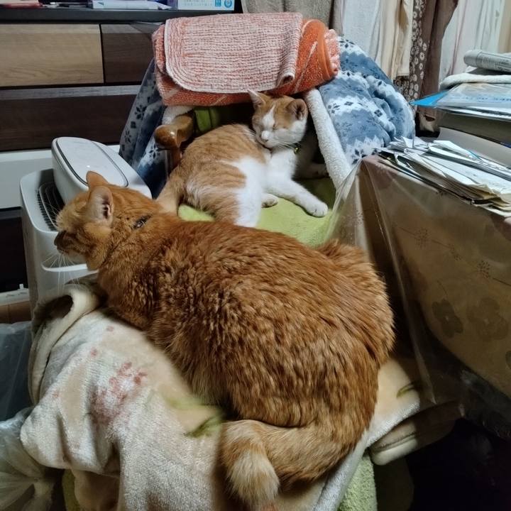 Bf045dcc dcf0 4451 8ecd 7d5085cb9bd3 1736935477864