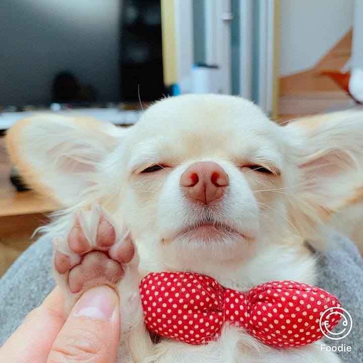 Bf049bdf acd8 4ca8 a6fe 7ef81e58b3f8 1609224771292