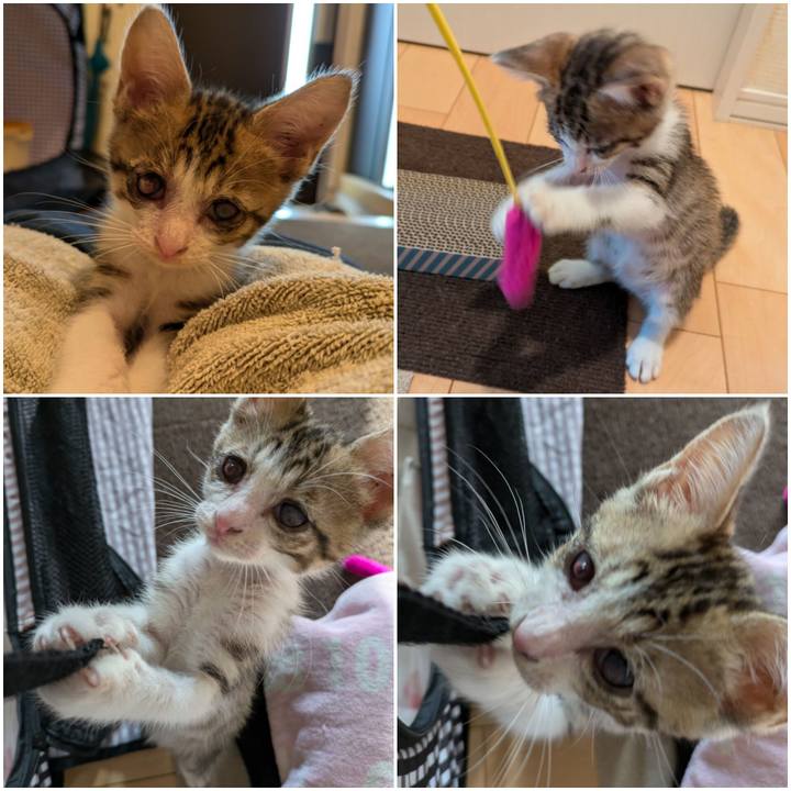 Bf04a539 a9c0 4bdf 94ff bdb5ef4ecb00 1727404993992