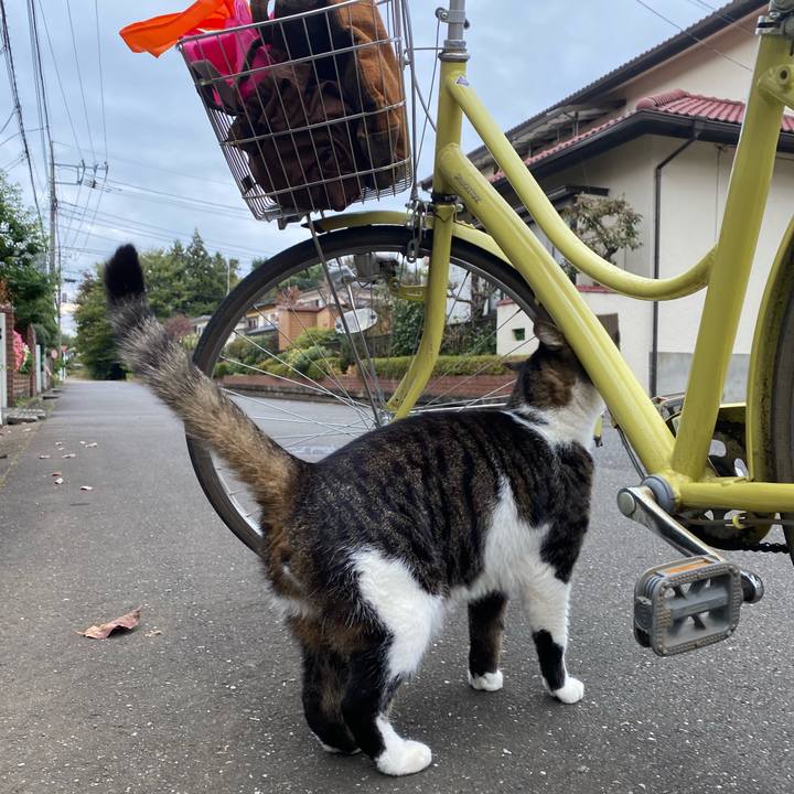 Bf05175d 3241 45bb bcc1 b77a0db75722 1605542429281