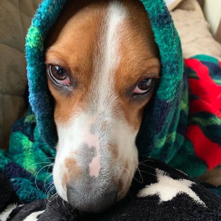 Bf056cdf 96f6 4e49 a454 836ef7d050c6 1547362133589