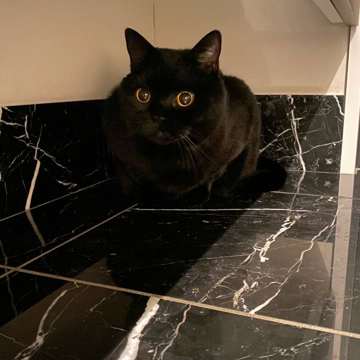 Bf058290 6634 4ae7 98a3 f691e369e56b 1700479472923