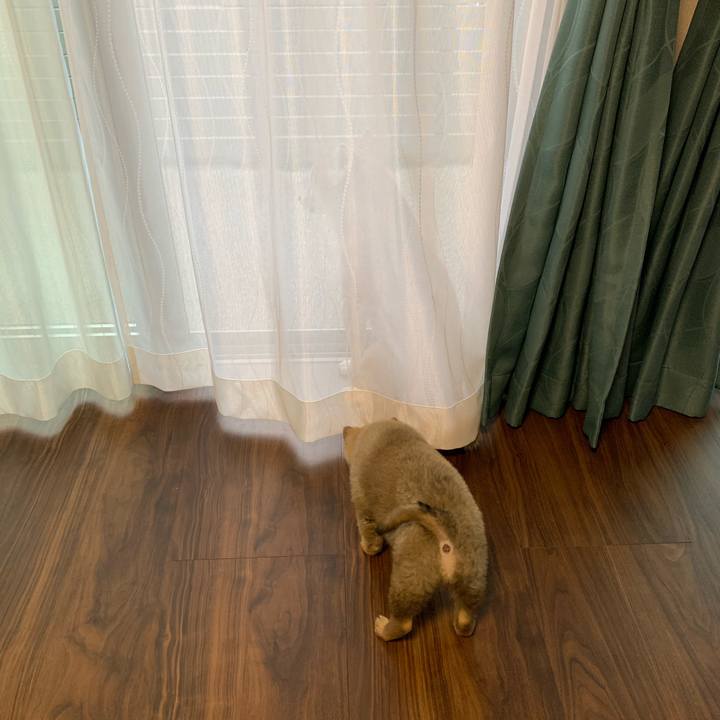 Bf05ea3f 8fc0 4983 9684 8f98f0156fca 1617571399083