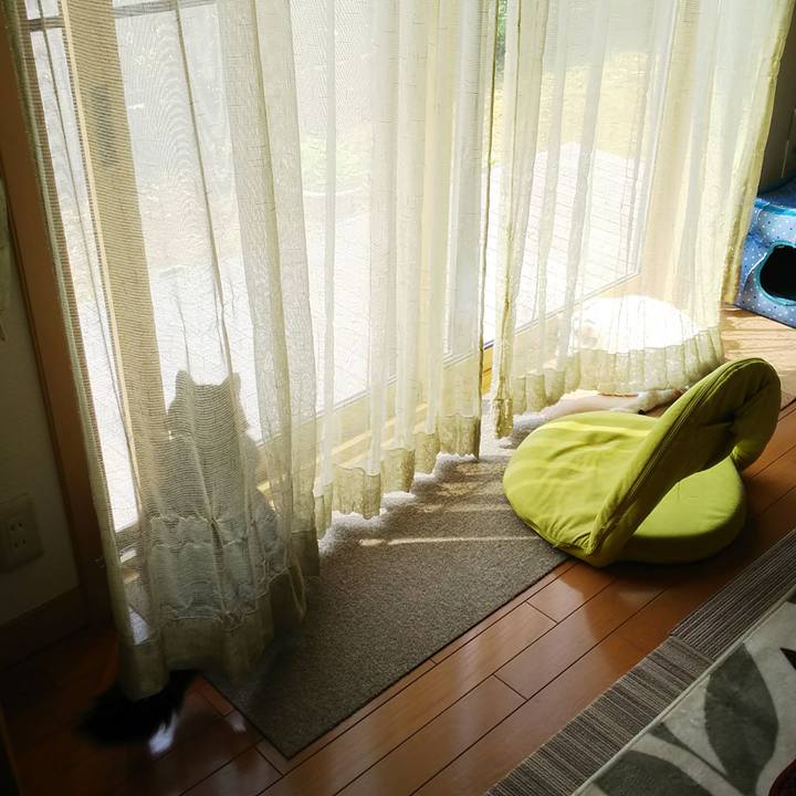 Bf05ed18 ab1f 4a9f a02b 1cae0618c250 1525137802614