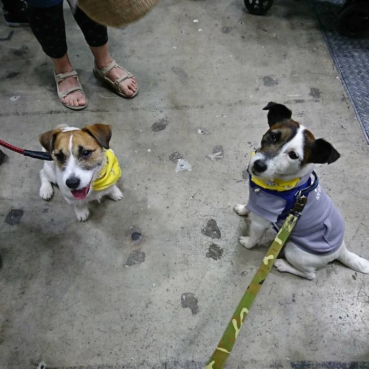 Bf0621af bd78 42cf ae0d ce0cb5f64b8d 1522558937288