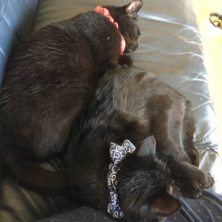 Bf063f00 ed13 4a0a a7f5 19f0758e2c25 1536388662810