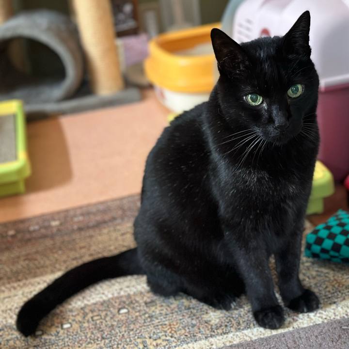 Bf0694aa 2a60 4b2f 8417 14a576c25cc1 1672713732312