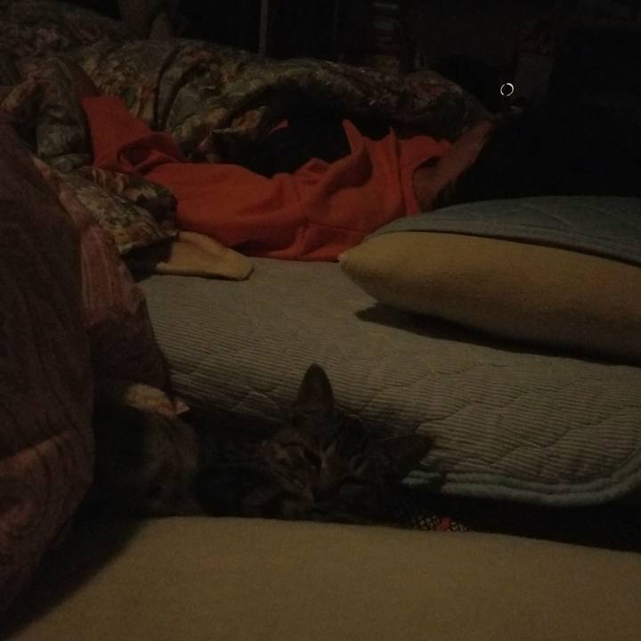 Bf06a265 ca45 4d10 b84b 6bb66782efb5 1668481984960