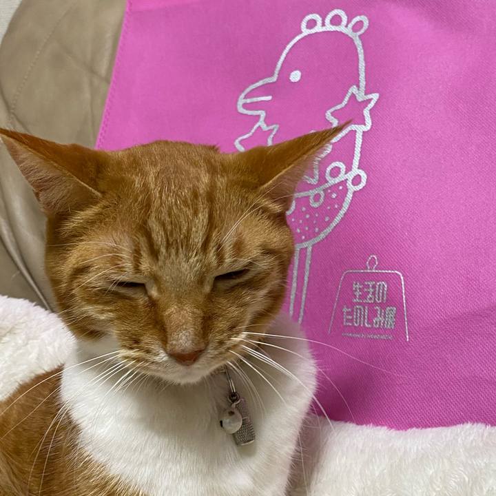 Bf06f474 94ee 41c4 b295 80b3b55223c9 1737162193398