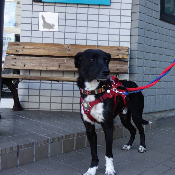 Bf071a6e e576 41bc 8b97 5c3047b13c90 1586305635519