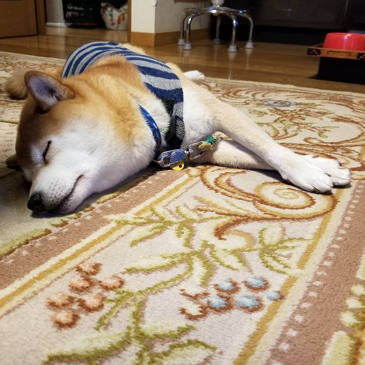 Bf07b437 3295 46e8 8147 5bdbe6cee44d 1577402242131