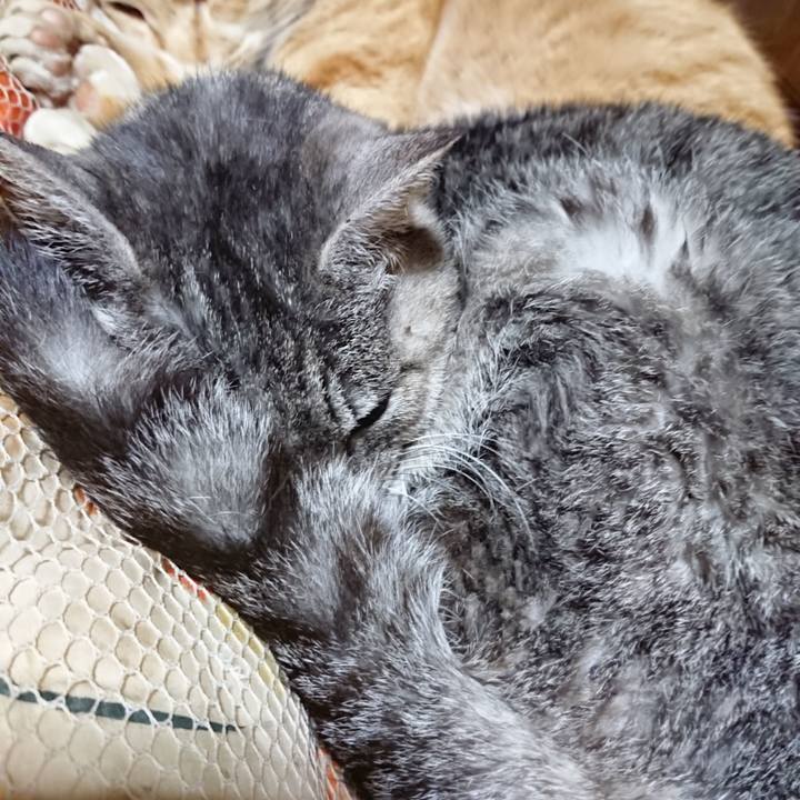 Bf07bd7f 1ab6 4514 9bfe 4ac91c775050 1580905573969