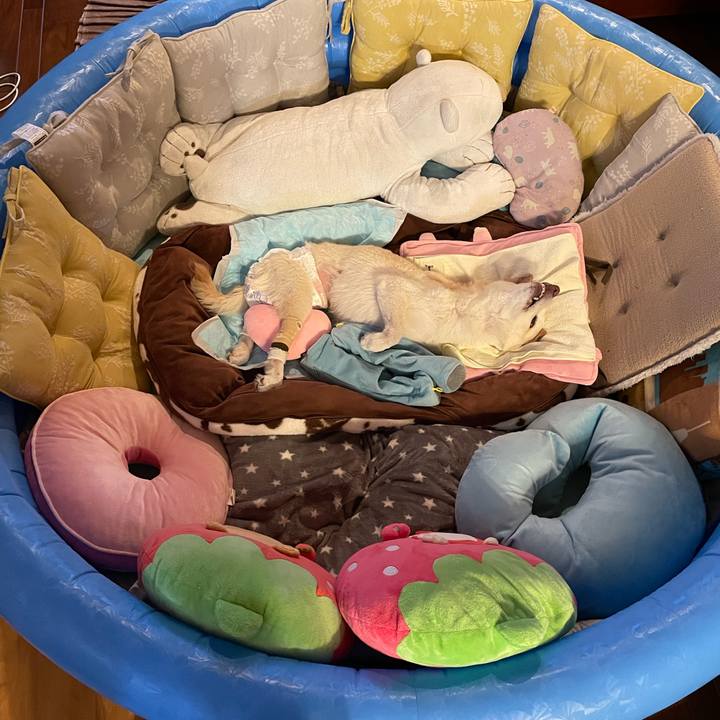 Bf07d6e2 cdb9 4ffc 9d66 74c228023afe 1678351462714