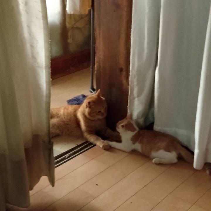 Bf07d6f3 cf6a 49f5 845a 303b7b986e20 1726351918495