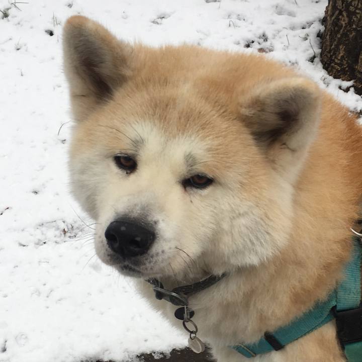 Bf080176 6e63 4b10 bc46 00ce85062055 1517617099673