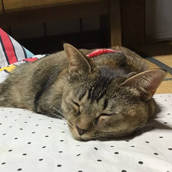 Bf082701 a25d 49bf a051 155bf702eaee 1605006694577