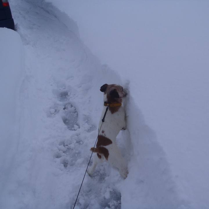 Bf083c62 2125 44f7 8f85 5166b6c97e66 1517972275076