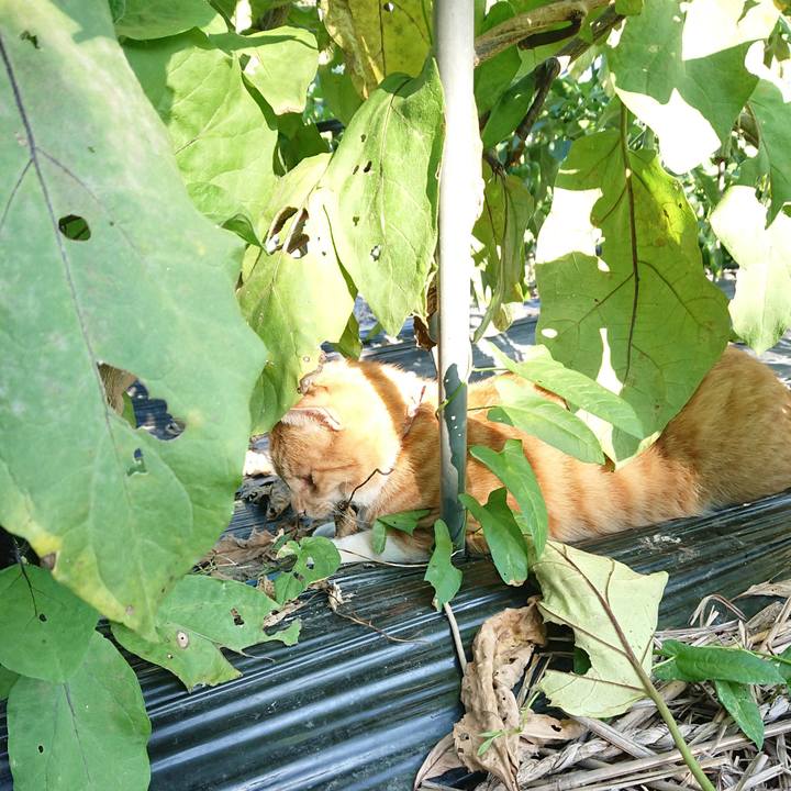 Bf0842d2 9476 45d0 bbbb 47f6a42a4dc5 1568536525734