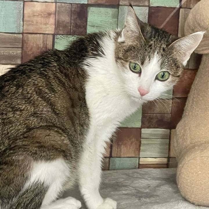 Bf0846a3 5719 443d bd33 37ed7e7756db 1641086428805