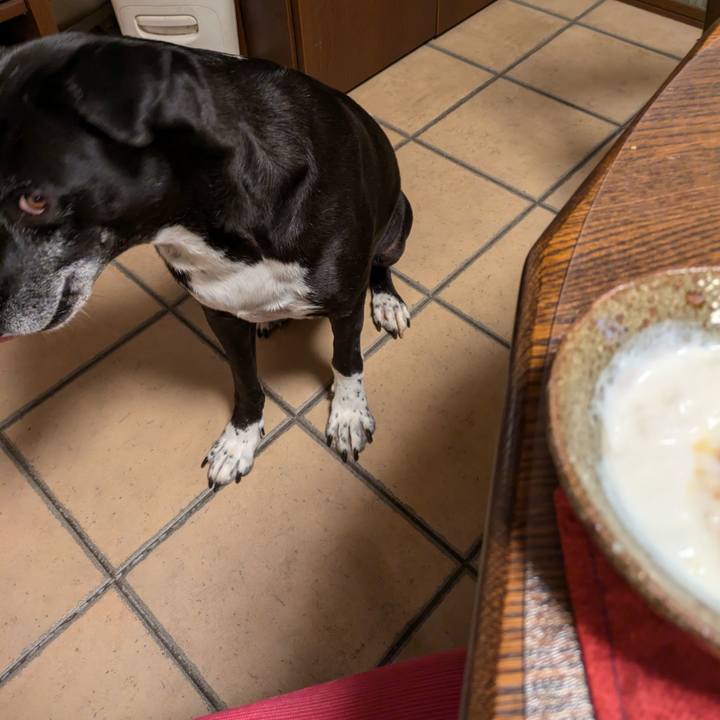 Bf08577f 7e4f 4254 b0a0 749cb76d7df7 1728951539585