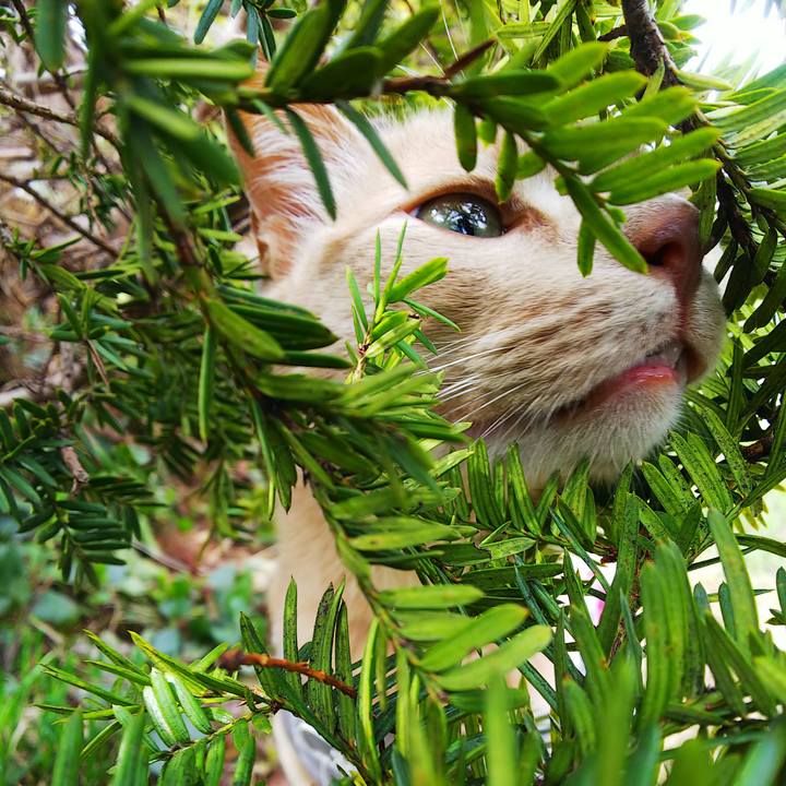 Bf08669b ae23 463e 8270 a445d722a43d 1651193773098