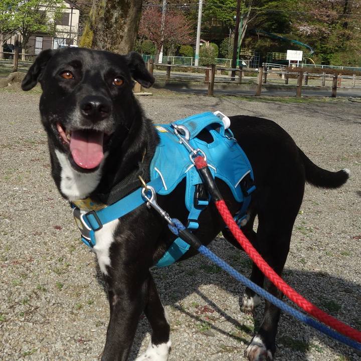 Bf086848 e71a 4d8d a6d7 7ce26c6f0a4a 1617497875098