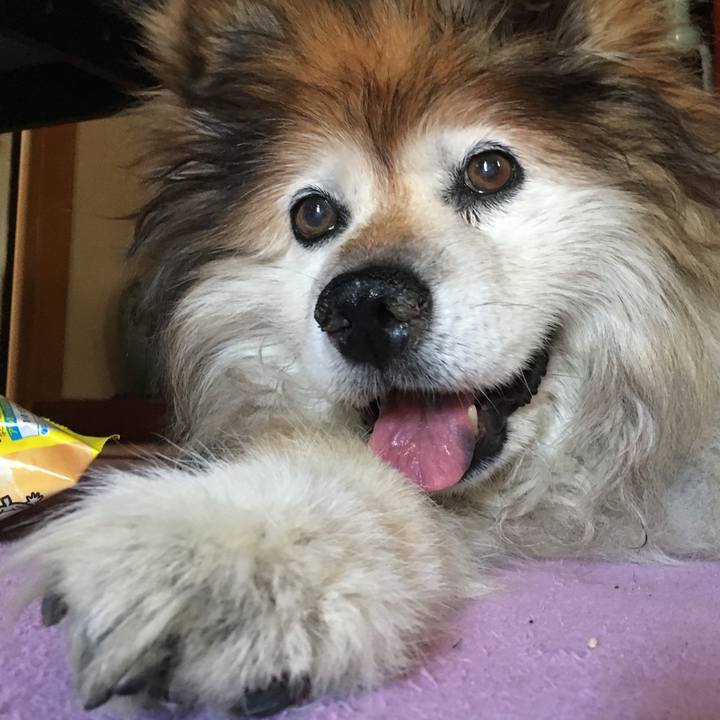 Bf0881a3 7017 45eb ae92 125713208c7c 1615777672269