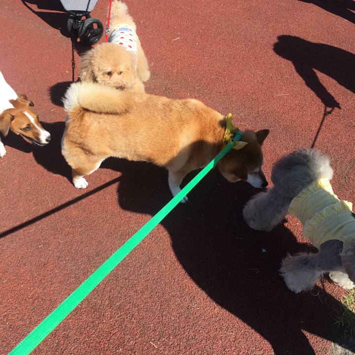 Bf0888b6 c0f3 4c30 9576 bb70a4523b59 1632880357494