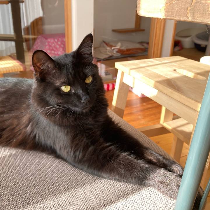 Bf08939a c633 49c5 99d4 2d8b7c4f5b92 1734076897331