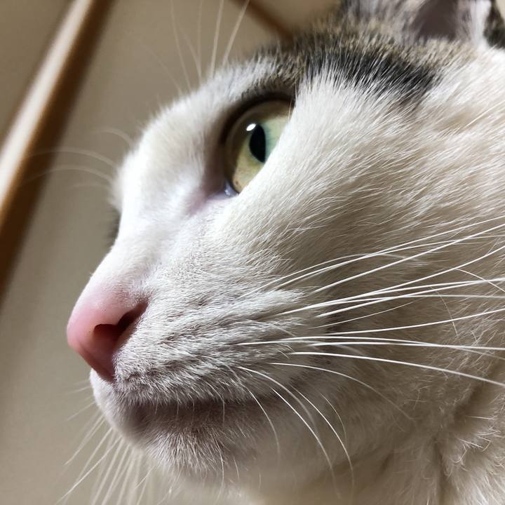 Bf08e6cf fa71 4fe9 8431 f658b3ea9553 1610790308136