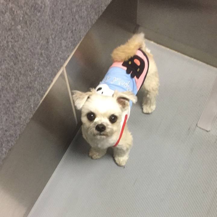 Bf091cd6 9d37 4ad8 8c64 20863809a5a6 1557121856325