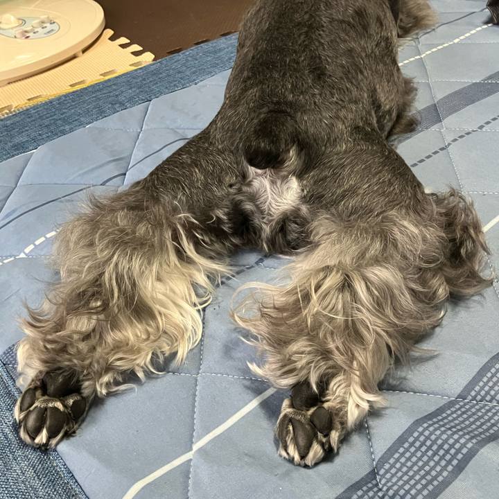 Bf0933c2 6914 4b45 82bc 5d99811b12cb 1719713519879