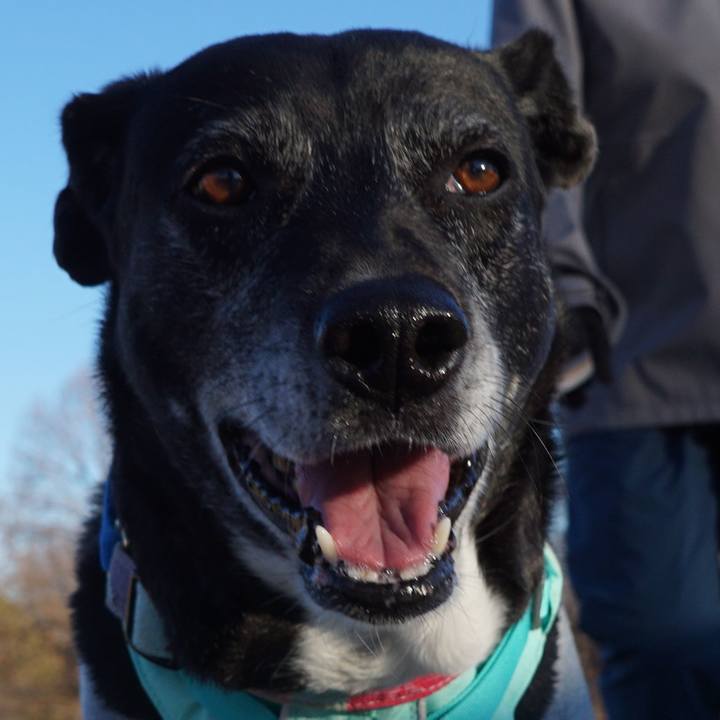 Bf094291 b233 46a1 8253 c98e2b757cda 1769302346153