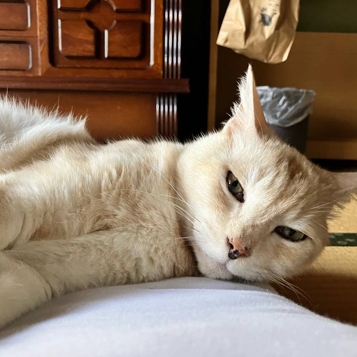 Bf096306 cf6a 44c1 a1cc 65cd347e169c 1714874582165