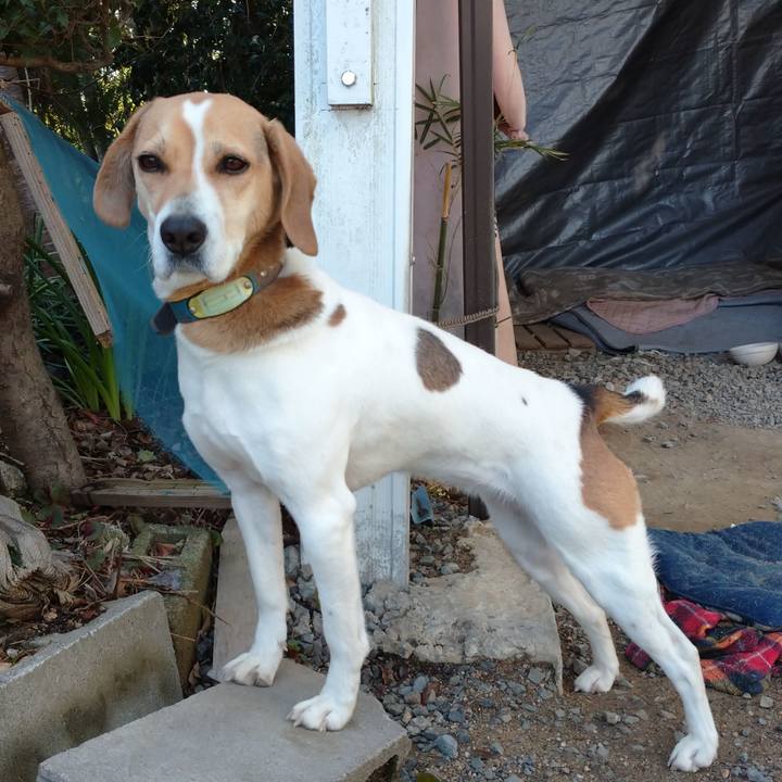 Bf096d10 9caa 4544 97ef 716819febe6f 1615691072245