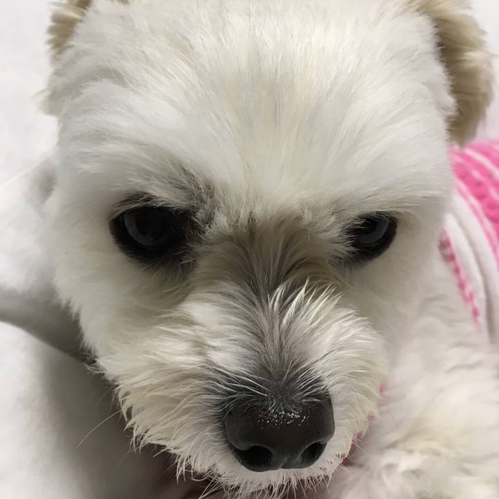 Bf09863d e1e7 4cbe b710 6498f26a725b 1540036003967