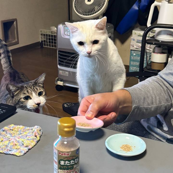 Bf09e776 ab67 4bd9 a03e afbacb246f50 1764162294108