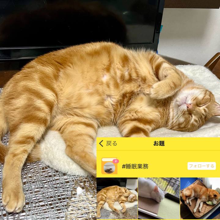 Bf0a20b5 ff1a 4fe6 b6b6 f244f31b635f 1649835924975