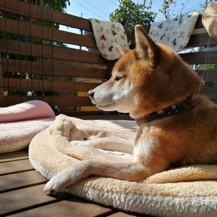 Bf0a4db1 4388 40c4 8c89 c908d47c76cf 1646189621839