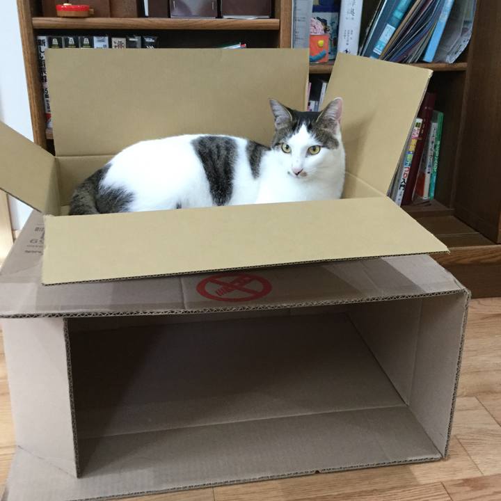 Bf0a67f6 7ba0 44ed 885b 908eb8ccd018 1512625542699